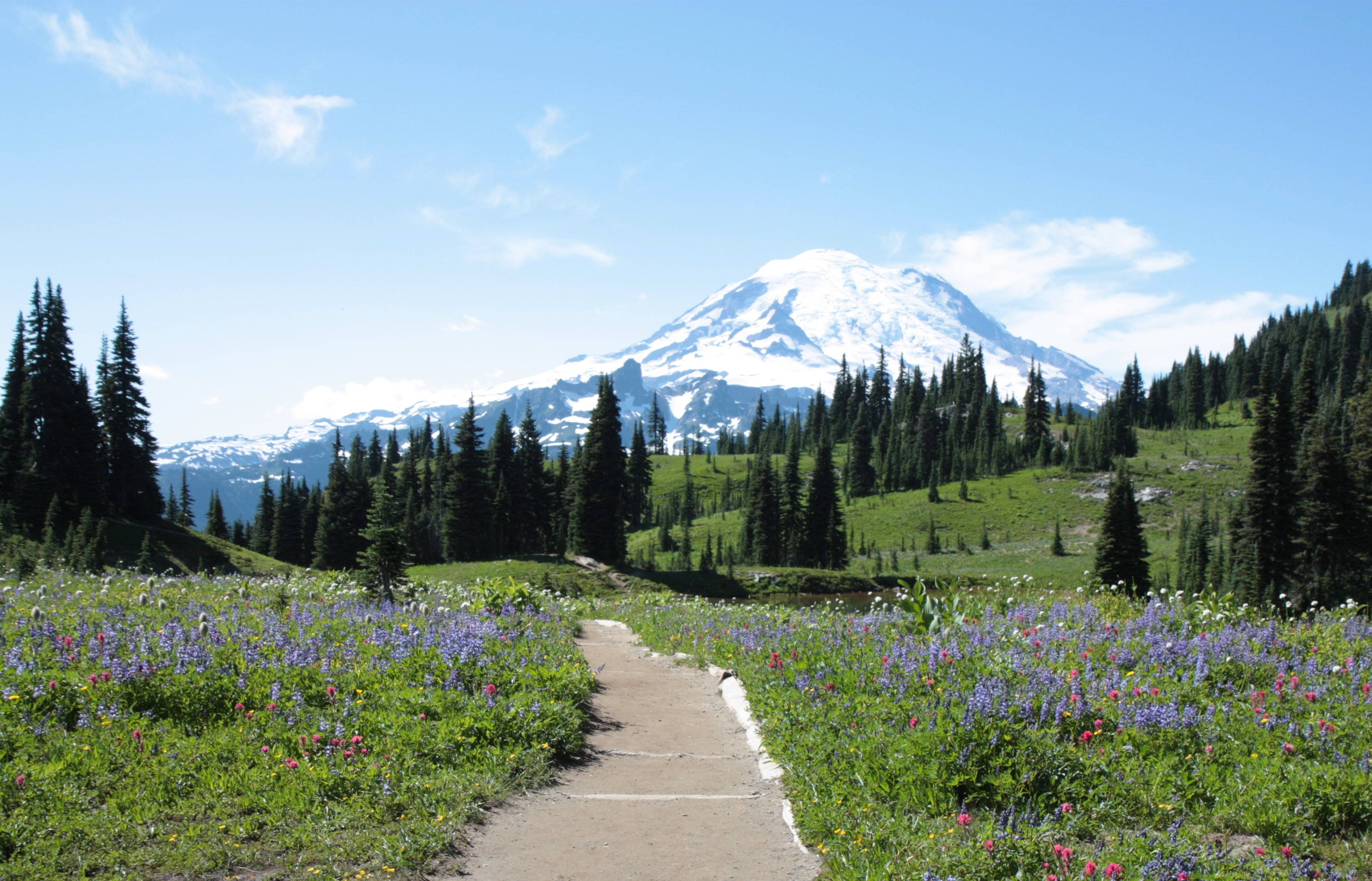 Mount Rainier NP